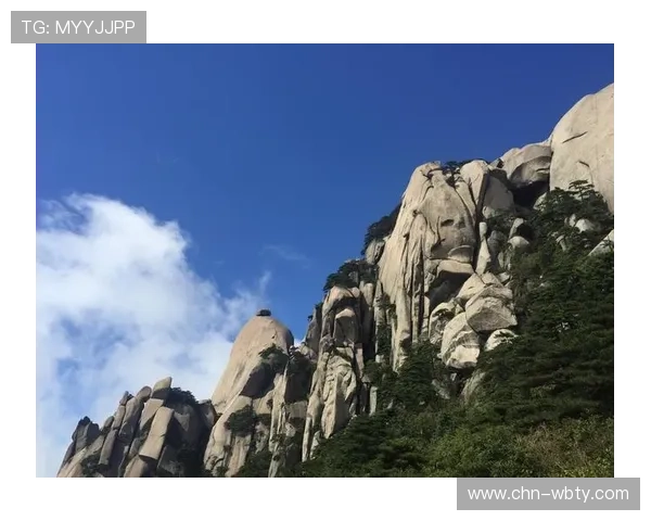 万博manbext手机版官方平台介绍，全面解析平台优势与用户保障措施